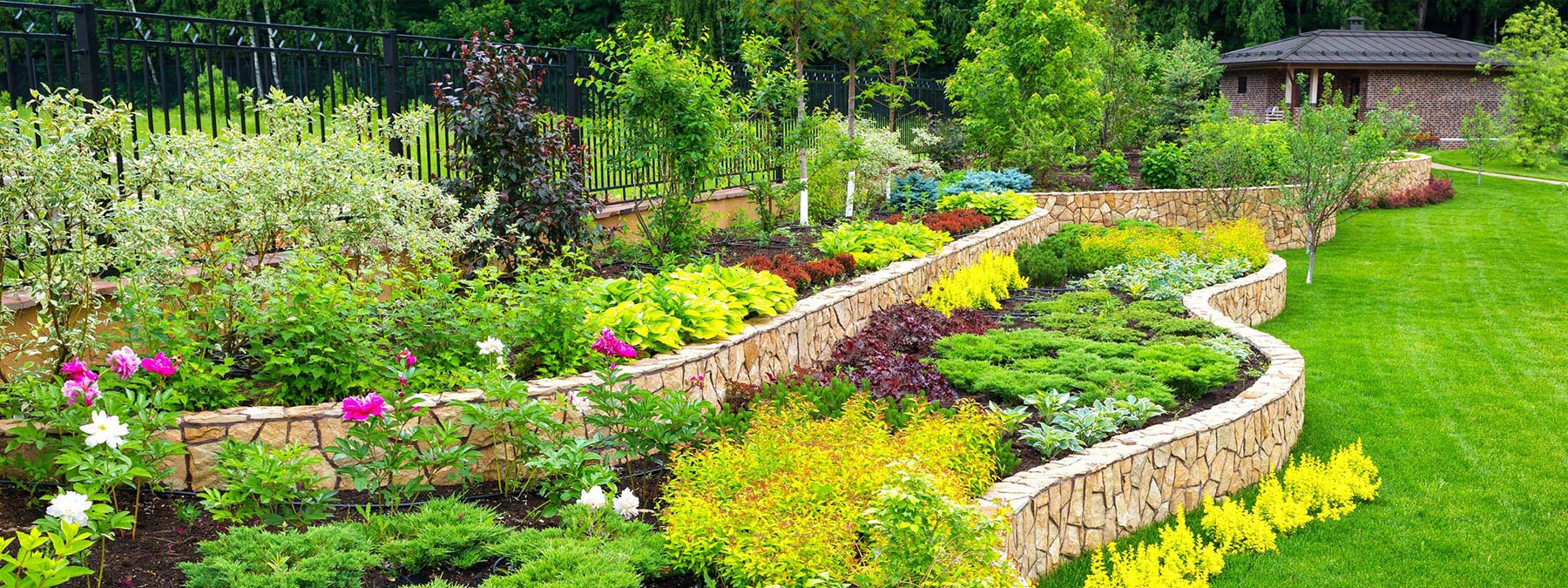 Gepflegte Gartenfläche mit Baum